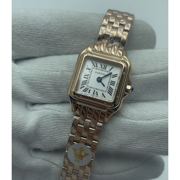 Cartier SANTOS DE CARTIER (код 310)
