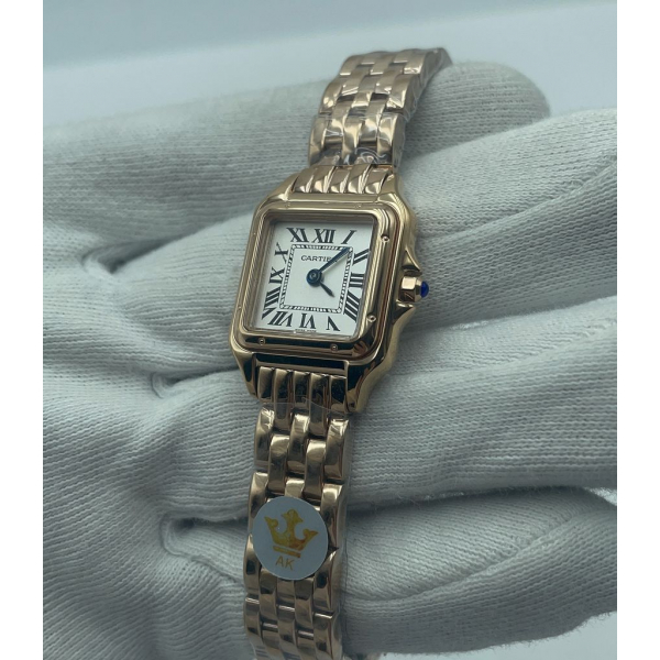 Cartier SANTOS DE CARTIER (код 310)