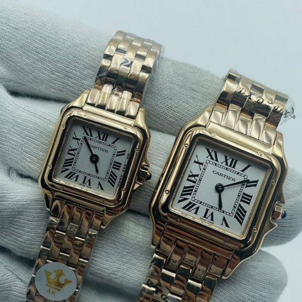 Cartier SANTOS DE CARTIER (код 310)