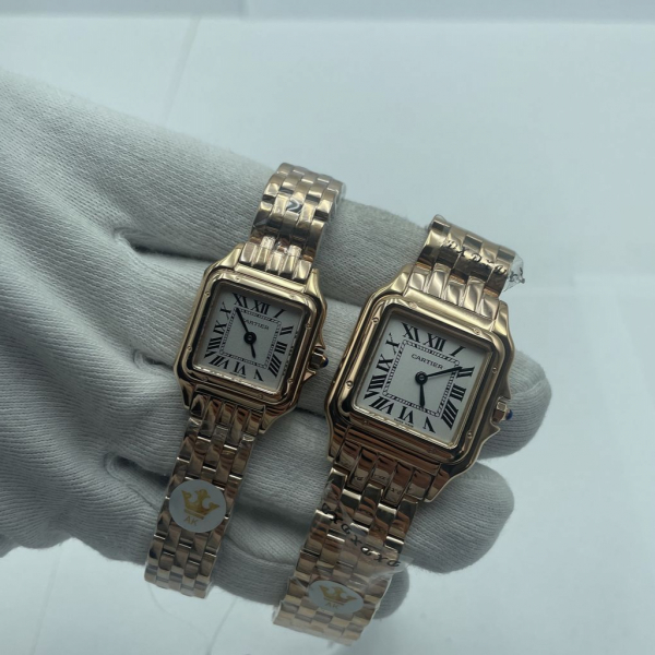 Cartier SANTOS DE CARTIER (код 317)