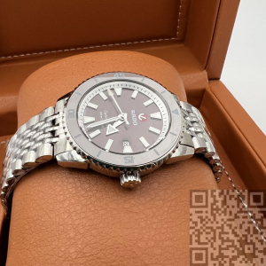 Rado Captain Cook (код 866)