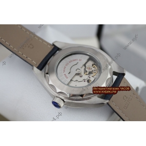 Omega Seamaster (код 176)