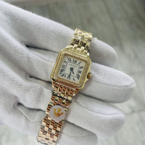 Cartier SANTOS DE CARTIER (код 308) Cartier SANTOS DE CARTIER (код 308)