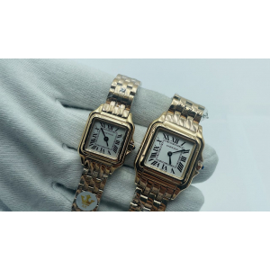 Cartier SANTOS DE CARTIER (код 310)