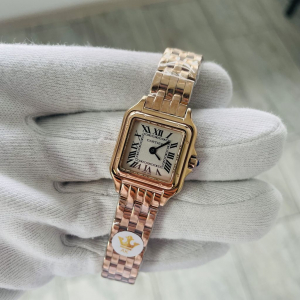 Cartier SANTOS DE CARTIER (код 310)
