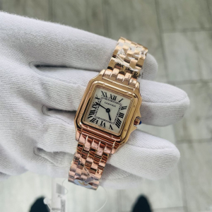 Cartier SANTOS DE CARTIER (код 317)