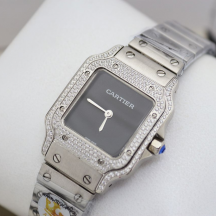 Cartier SANTOS DE CARTIER (код 340)